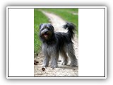 08 Dailou bei einem Aprilspaziergang