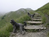 13 Dailou im Allgäu im Urlaub 2006