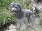 17 Dailou im Allgäu im Urlaub 2006