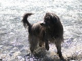 24 Dailou im Allgäu im Urlaub 2006