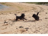 Urlaub 2012 (20)