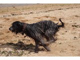 Urlaub 2012 (21)