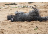 Urlaub 2012 (23)