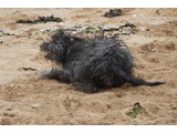 Urlaub 2012 (24)