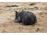 Urlaub 2012 (25)