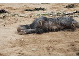 Urlaub 2012 (27)