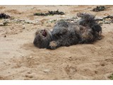 Urlaub 2012 (29)