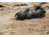 Urlaub 2012 (30)