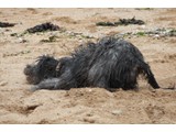 Urlaub 2012 (31)