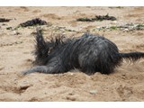 Urlaub 2012 (32)
