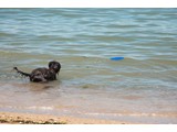 Urlaub 2012 (35)
Das Meer ...