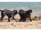 Urlaub 2012 (39)
Und mit Florain spielen ...