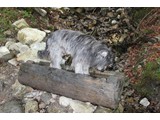 Urlaub 2012 (60)
Durst ...